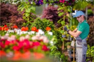 Lee más sobre el artículo Cómo Iniciar un Negocio de Jardinería: Guía Paso a Paso