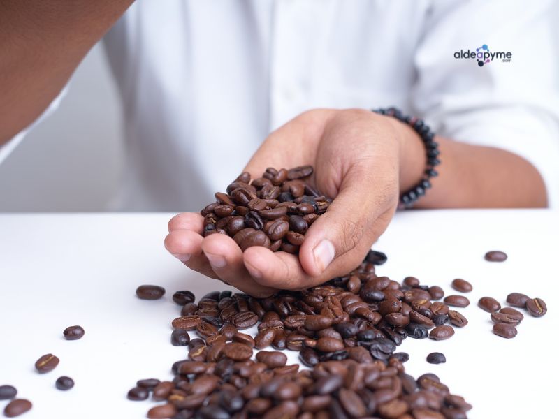 Elige con Propósito: Como comprar los mejores granos de Café de comercio justo