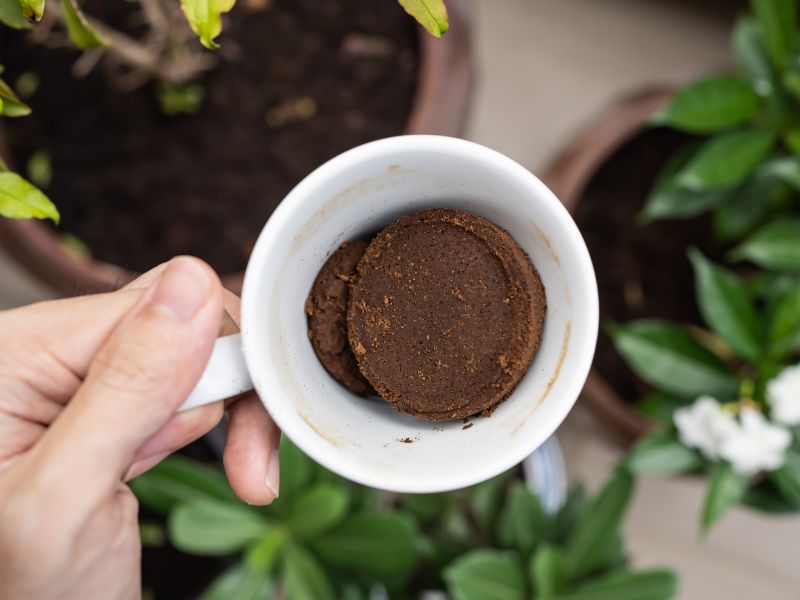 Cómo usar posos de café como fertilizante natural