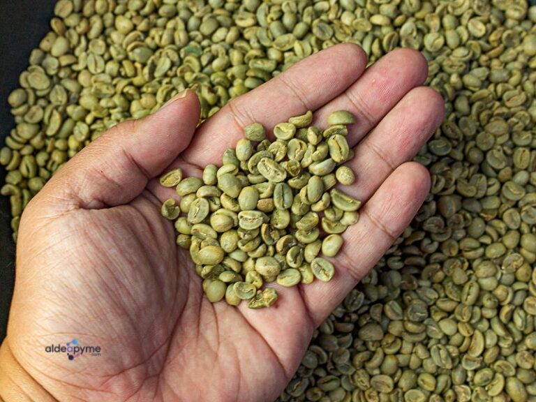 café verde: usos, beneficios y mitos