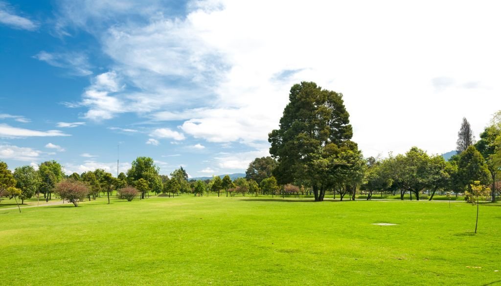 Best Parks in Bogotá for Picnics, Sports, and Relaxation