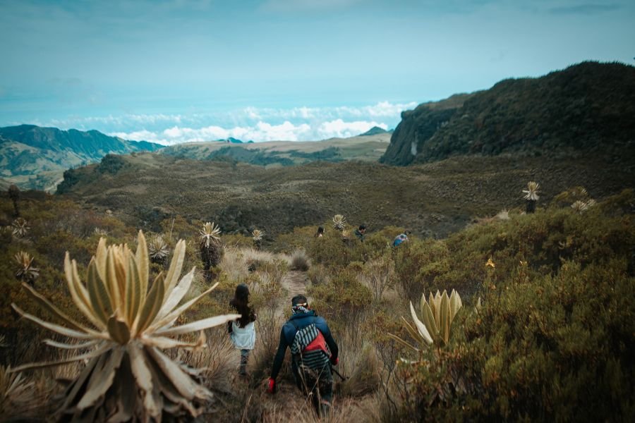 Nariño y su sabor cafetero, destino sustentable para visitar en Colombia..