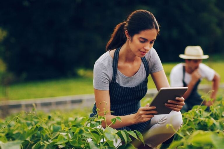 Los 25 negocios más rentables en Ecuador (2025)