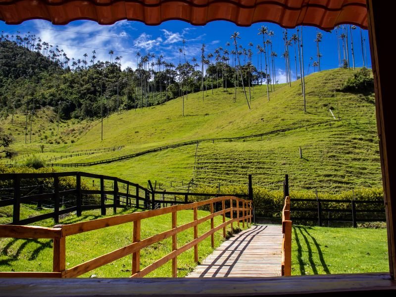 Descubre el Encanto del Turismo en el Eje Cafetero: Paisajes y Cultura