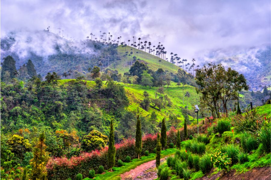 Lugares Imperdibles en el Eje Cafetero en Familia: Guía 2026